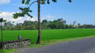 For Sale Tanah Premium di Tabanan, Tabanan, LT 530m²