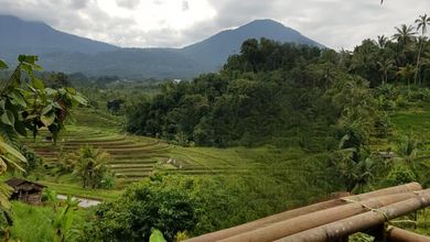 Tanah LT 3950 m2 Area Strategis Jatiluwih, Dijual Murah