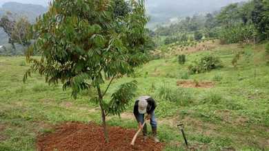 Jual Tanah Area Komplek Cariu Pemandangan Danau dan Taman