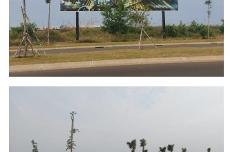 For Lease Tanah Premium di Pantai Indah Kapuk 2, Jakarta Utara, LT 6479m²