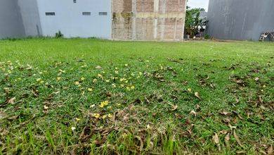 Dijual Kavling 240 m2 Lokasi Komplek Mewah Alam Sutera
