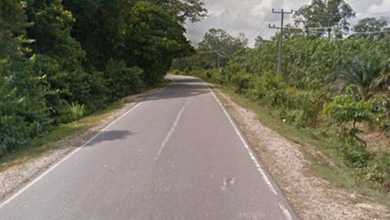 For Sale Tanah Premium di Muara Tembesi, Batanghari, LT 87000m²