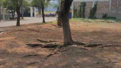 Kavling Prestisius Dijual di Pantai Indah Kapuk, Jakarta Utara, Harga 23,8 Miliar