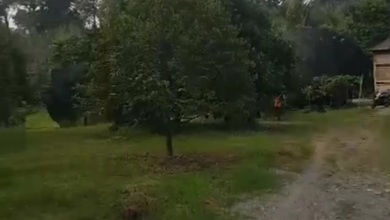 For Sale Tanah Eksklusif di Rangkasbitung, Lebak, LT 50000m²