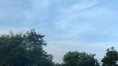 For Sale Tanah Eksklusif di Sukaraja, Bogor, LT 10000m²