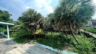 Jual Terjangkau Tanah 300 m2 Lokasi Strategis