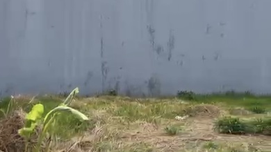 Disewakan Tanah Premium di Sunter, Jakarta Utara, LT 1600m²