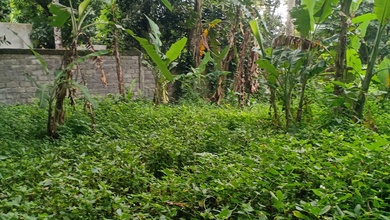 Segera Miliki Tanah Harga Ekonomis di Kaba kaba, Tabanan