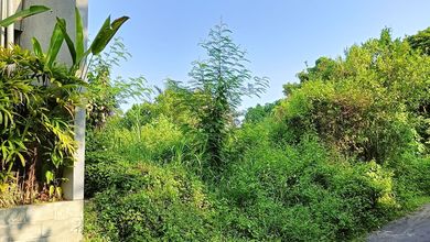 Jual Tanah Terjangkau di Area Ketewel, Gianyar