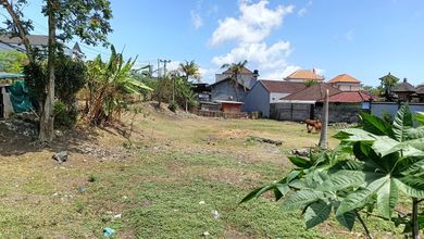 Tanah Kosong untuk Disewa di Mahendradata, Harga 6 Juta