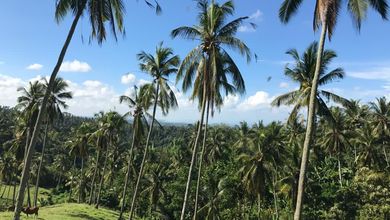 Dijual Tanah Terjangkau di Selemadeg, Tabanan, LT 22550m²