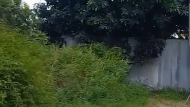 Dijual Tanah Premium di Sleman, Yogyakarta, LT 1598m²