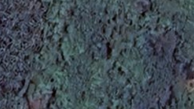 Disewakan Tanah Strategis di Semarang Timur, Semarang, Lokasi Prime