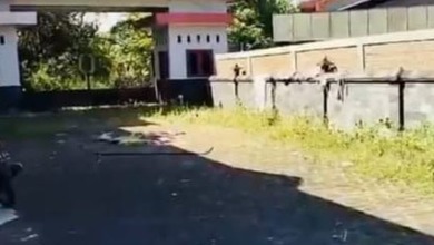 Kavling Prestisius Dijual di Secang, Magelang, Harga 120 Triliun