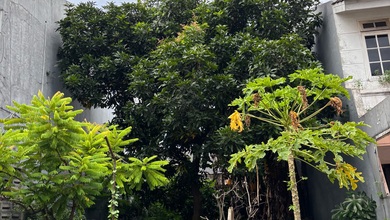 Promo Tanah Strategis di Ciracas, Jakarta Timur, Harga 1,6 Miliar