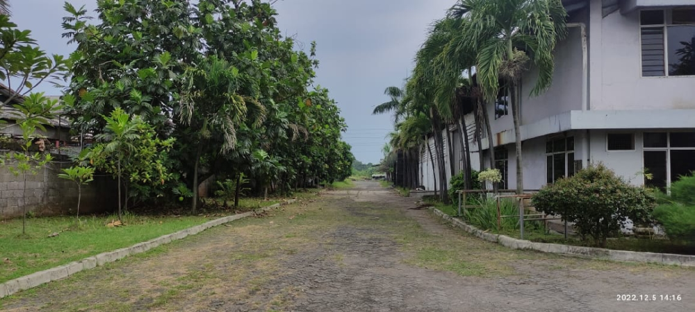 Eddy | Agen Properti GadingPro