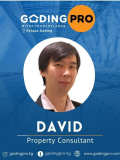 David David | Agen Properti GadingPro