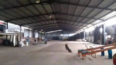 Gudang  shm 1665 mt (23 ×73)pd bambu bs kont 40ft rapi sp pakai