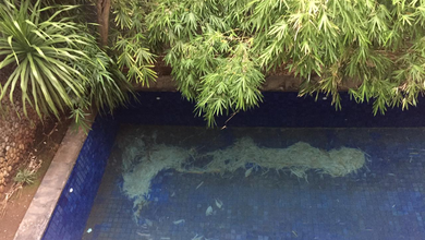 Rumah Mewah di Pluit, Jakarta Utara, 3 KT, LT 325m²