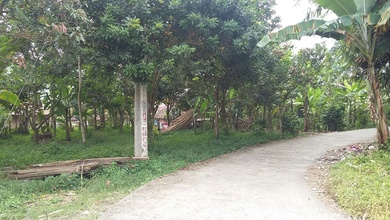 Dijual Tanah di Lokasi Premium Leuwiliang, Bogor, Harga 1,48 Miliar