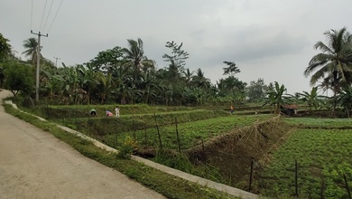 Jual Terjangkau Tanah 13960 m2 Kawasan Strategis