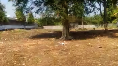 Kavling Prestisius Dijual di Tibubeneng, Badung, Harga 246 Triliun