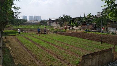 Kavling Prestisius Dijual di Cengkareng, Jakarta Barat, Harga 32 Miliar