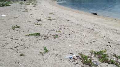 Tanah Elit Dijual di Celukanbawang, Buleleng, Harga 244 Triliun