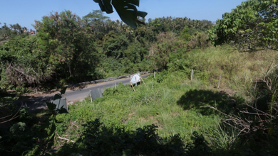 For Sale Tanah Premium di Ubud, Gianyar, LT 2875m²