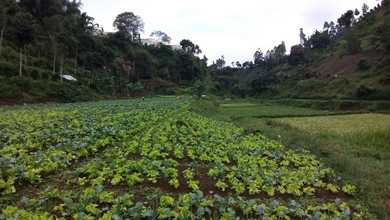 Dijual Tanah Eksklusif di Lembang, Bandung, LT 120000m²