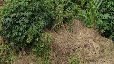 Dijual Tanah di Lokasi Premium Legok, Tangerang, Harga 1,1 Miliar