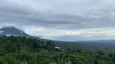 For Sale Tanah Eksklusif di Bedugul, Tabanan, LT 5600m²