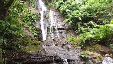 Dijual Tanah Premium di Gobleg, Buleleng, LT 30000m²