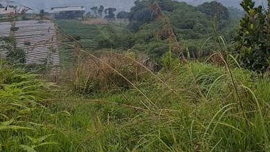 Tanah Elit Dijual di Babakan Madang, Bogor, Harga 650 Triliun