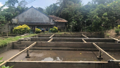 Tanah Elit Dijual di Pandeglang, Pandeglang, Harga 1,3 Triliun