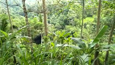 Dijual Tanah Eksklusif di Ubud, Gianyar, LT 24939m²