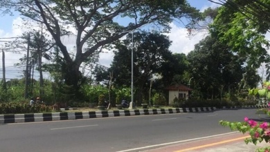 Dijual Tanah Premium di Denpasar Barat, Denpasar, LT 30000m²