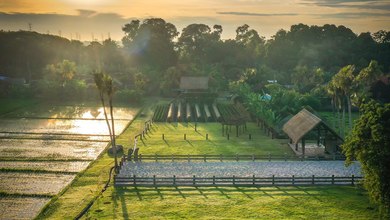 For Sale Tanah Premium di Kaba kaba, Tabanan, LT 1600m²