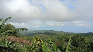 Dijual Tanah Premium di Sukasada, Buleleng, LT 5000m²