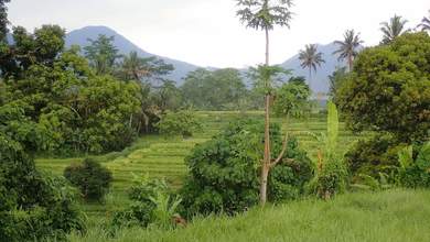 Tanah Elit Dijual di Penebel, Tabanan, Harga 157 Triliun