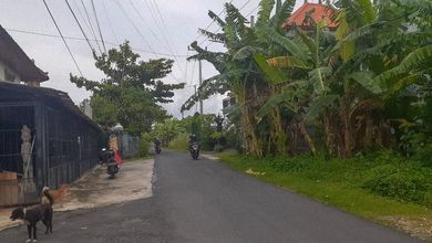 Dijual Tanah Premium di Pererenan, Badung, LT 990m²