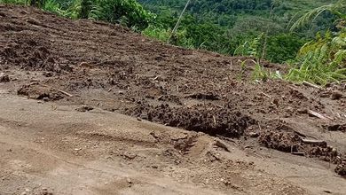 Kavling Prestisius Dijual di Kintamani, Bangli, Harga 25 Triliun