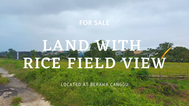 Tanah Elit Dijual di Canggu, Badung, Harga 297 Triliun