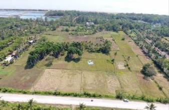 For Sale Tanah Eksklusif di Panimbang, Pandeglang, LT 41666m²