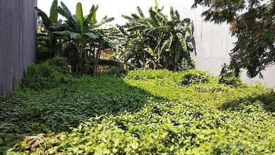 Tanah Elit Dijual di Ancol, Jakarta Utara, Harga 3,15 Triliun