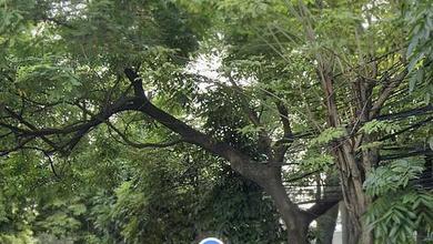 Tanah Elit Dijual di Cengkareng, Jakarta Barat, Harga 10 Miliar