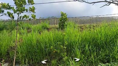 Kavling Prestisius Dijual di Wonosari, Malang, Harga 7140 Triliun