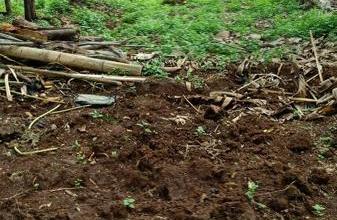 Tanah Elit Dijual di Cibadak, Sukabumi, Harga 124 Triliun