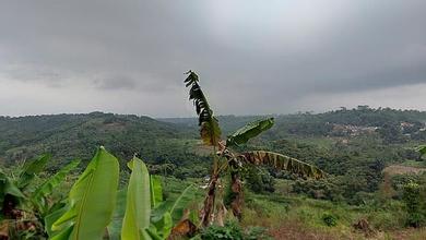 For Sale Tanah Eksklusif di Cibadak, Sukabumi, LT 126000m²