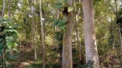 Jual Tanah Area Strategis, Luas 1230000 m2